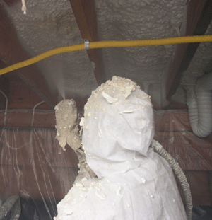 Burbank CA crawl space insulation